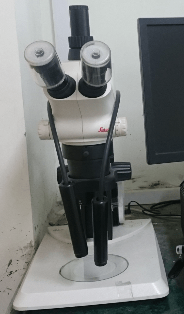 Stereo Zoom Microscope
